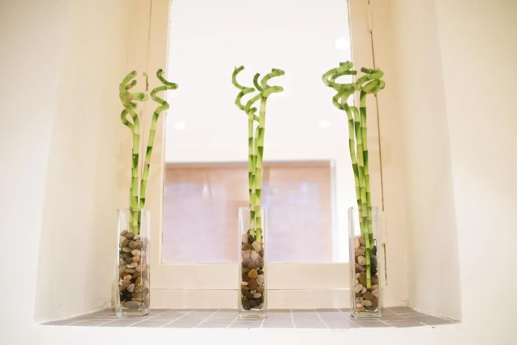 Archimede Guest House Brussels Apartment